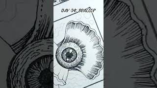 DAY 04 'SCALLOP': INKTOBER 2022 #inktober2022 #inktoberchallenge DAY 04 'SCALLOP': INKTOBER 2022 #inktober2022 #inktoberchallenge