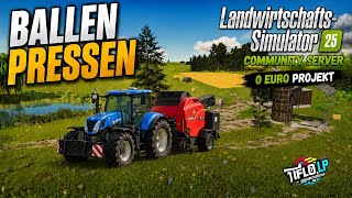 LS 25 Grünes Land ❗Lutzernen ernte und Mais anlegen❗Unser 0 Euro Community Projekt Server