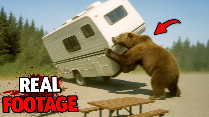 Grizzly Bear Attacks RV Park in Alaska on August 29th, 2025