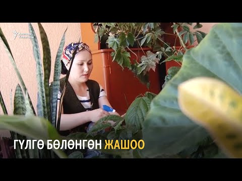 Video: Өспүрүмдүн жашоо образын кантип өзгөртүү керек