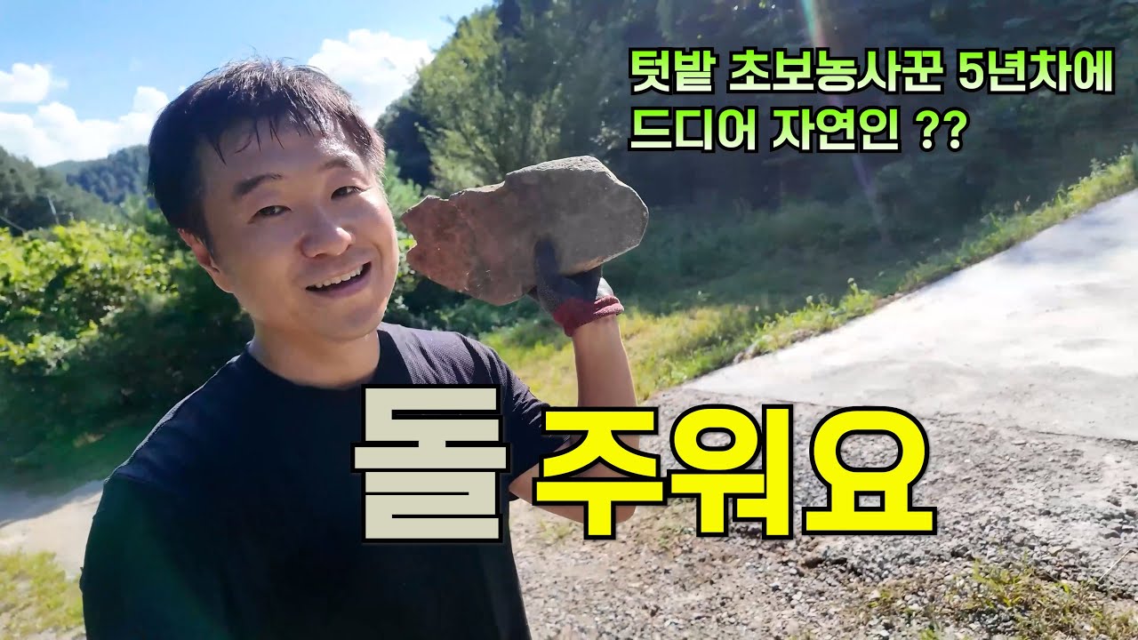 40대 남자 시골생활 5년차 나도 이제 자연인(?)