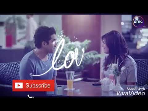 تامر عاشور في اغنية مابتهزش فى اكرم و مريم 