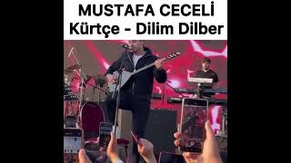 Mustafa Ceceli Dilim Dilber