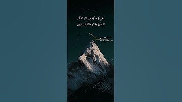 سورة القصص 28-30