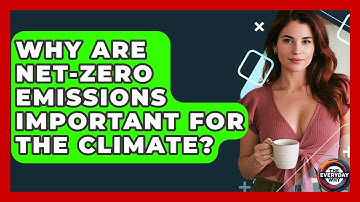 Why Are Net-Zero Emissions Important For The Climate? - The Everyday Why