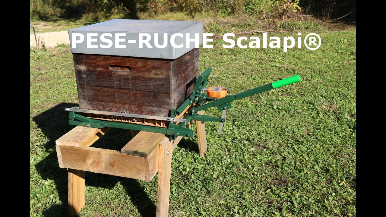 Pèse ruche Scalapi®