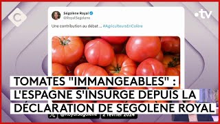 Tomates, agriculteurs et Amélie Oudéa-Castéra - Le 5/5 - C à Vous - 02/02/2024