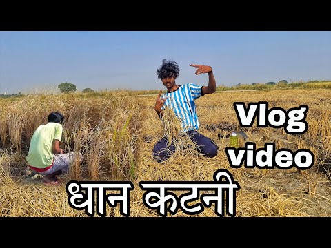 धान तो काटना पड़ेगा ना मेरा भाई