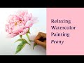 Satisfying art video: watercolor painting process of a pink peony