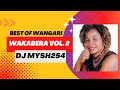 DJ Mysh254 - Best of Wangari Wakabera Mix 2023 Volume 2 || Mwoboko || Mugithi Mix