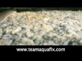 Reducing Foam In A Wastewater Treatment Plant