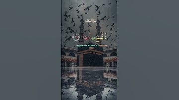 تلاوة خاشعة للقرآن الكريم بصوت القارئ عبدالرحمن مسعد