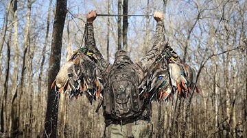 Sunshine and Full Limits of Mallards | Unreal Timber Duck Hunt | Into The Woods with Rusty Creasey