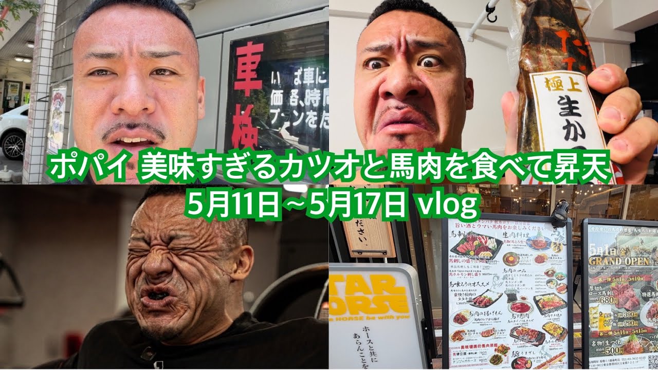 ポパイ関根 美味すぎるカツオと馬肉を食べて昇天する 5月11日〜5月17日 vlog