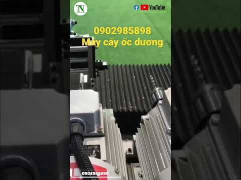 Video Máy cấy ốc (dương) hiệu quả, nhanh, chính xác - youtube