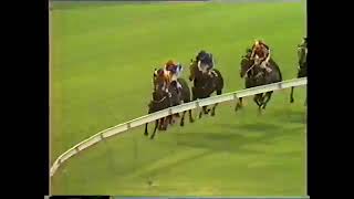 1987 Commonwealth Steeple Moonee Valley