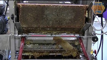 Honey Paw uncapping machine