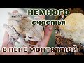 Наплодили деревянных лягушечек! Какова красота!