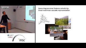 Context dependence of sensory responses in the rodent tactile whisker system