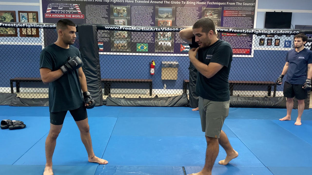 Boxing Defense for Mixed Martial Arts (MMA) and Self Defense by Marcos Avellan