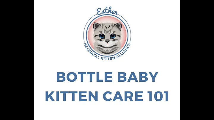 Bottle Baby Kitten Care 101 Webinar
