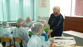 Учитель биологии из с.Первомайское в числе лучших педагогов региона (05.10.18г.,Бийское телевидение) Учитель биологии из с.Первомайское в числе лучших педагогов региона (05.10.18г.,Бийское телевидение)