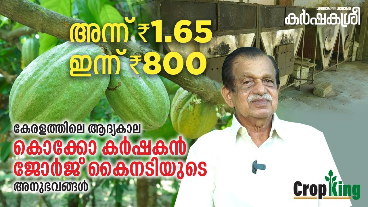 കൊക്കോക്കൃഷിയെ കേരളത്തിലെത്തിച്ച കർഷകൻ – പ്രത്യേക അഭിമുഖം