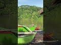 A GREEN BOATS 🛶 AND THE RIVER🥰#shorts