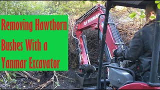 Two Guys Rent a Yanmar Excavator and Teach Themselves How To Use It (Spoiler: We Figure It Out!) by Timberline Mountain Life 756 views 1 month ago 25 minutes