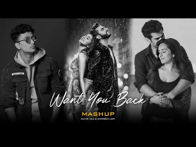Want You Back Mashup | Chahun Main Ya Naa x Baarishon Mein | Animesh Lofi |Emotional Chillout Mashup class=