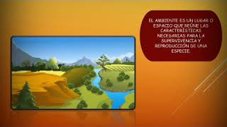 Las características de los animales: terrestres, acuáticos y aéreos Las características de los animales: terrestres, acuáticos y aéreos