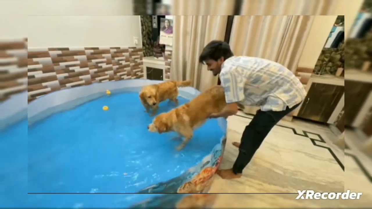 Old memories Leo swimming pool Leo 