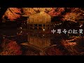 【世界遺産】平泉中尊寺の紅葉 : 【World Heritage】The Autumn Leaves of Chūson-ji Temple（Iwate, Japan）