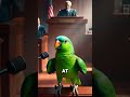 This Parrot Just Won The Case 😂” Judge Vs Parrot #talkingparrot #funny