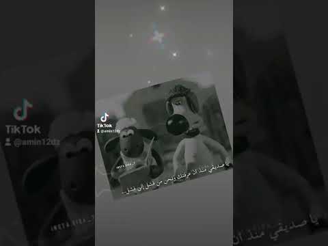 جليل بليرمو مغلوقة وين نطبطب