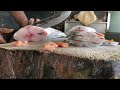 ║ 🔪 UNBELIEVABLE Fast Fish Cutting Skills! 😱 | Amazing Giant Fish Transformation ✨ ║