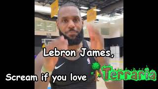 Lebron James, scream if you love Terraria