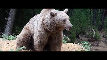 SAM Heroes - Making audits (almost) bearable for the IT Pro – Bill Genzoli