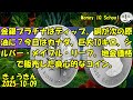 10-09 金銀プラチナはディップ。銅が次の原油に?今日はカナダ、巨大10キロ、シルバー・メイプル・リーフ。地金価格で販売した良心的なコイン。 (345) きょうきんGT