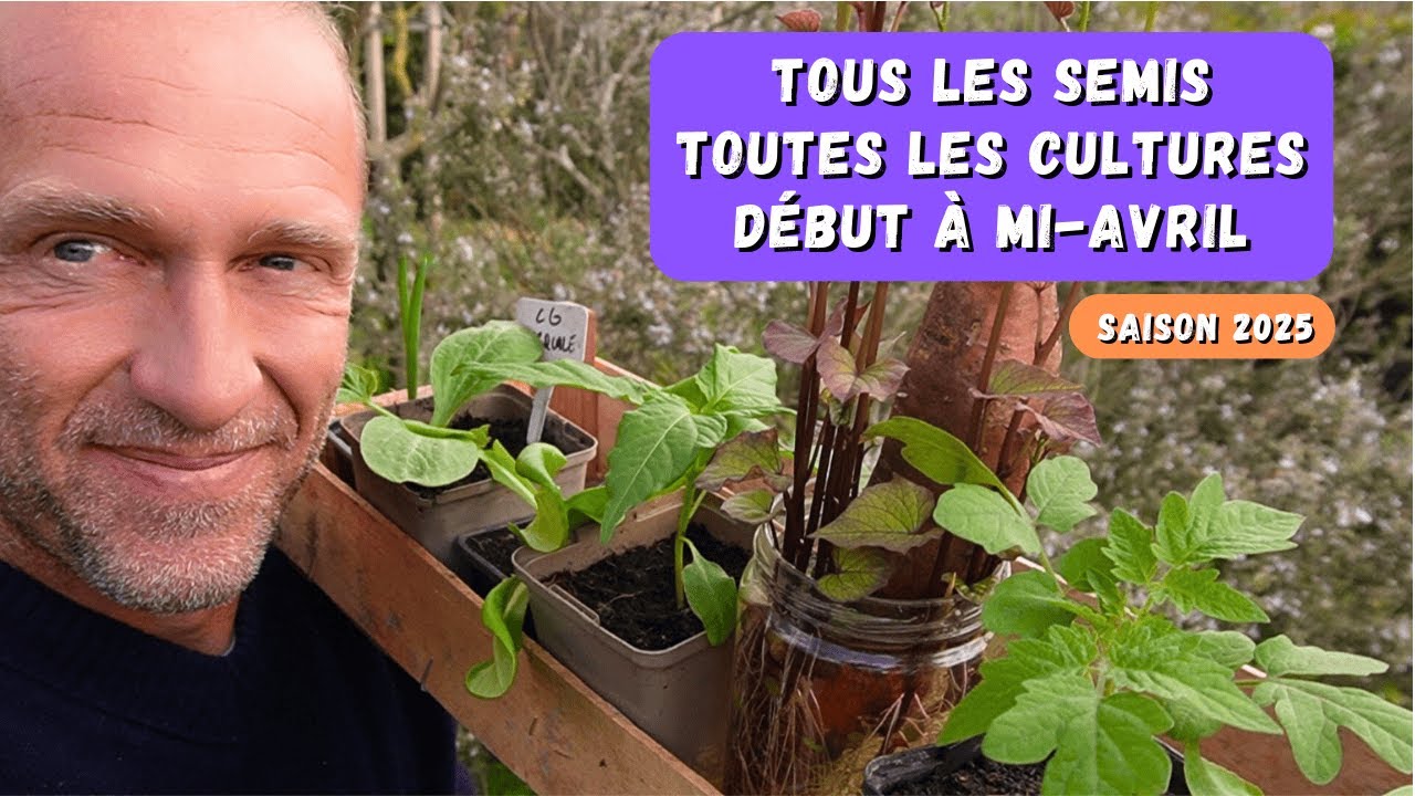 Début à mi-avril au potager - SAISON 2025