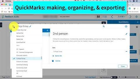 How to Make, Organize, and Import QuickMarks on TurnItIn.com Through Vision