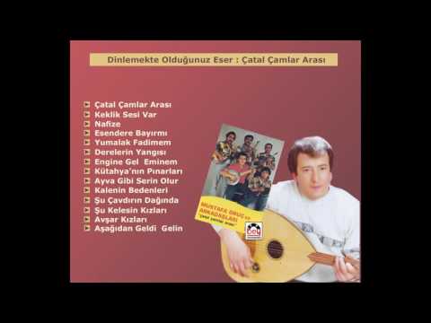 Mustafa Oruç -  Çatal Çamlar Arası