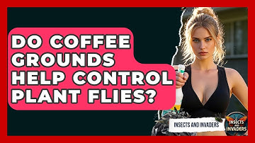 Do Coffee Grounds Help Control Plant Flies? - Insects and Invaders