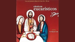 Video thumbnail of "Coro do Seminário Maior de Cristo-Rei dos Olivais - Como É Suave, Senhor, O Vosso Espírito"