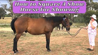 How to Square A Show Horse for Showing | How to Show a Horse Tips and Tricks