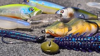 Where Do Bass Go After The Spawn? (And The Baits We Use To Catch Them)