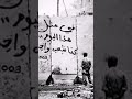بغض النظر