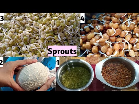 Sprouts ని ఎలా ఇంతలో సిద్ధం చేస్కో | మొలకలు | ఇంట్లో పప్పులను ఎలా మొలకెత్తాలి