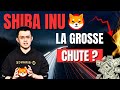🦊 SHIBA INU corrige fortement... Et ALORS ?
