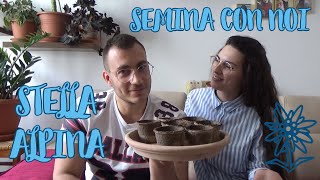 Come occuparsi della STELLA ALPINA - SEMINA CON NOI!